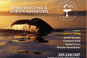 Screenshot 2024-06-30 at 4.29.48 PM